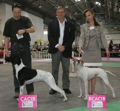 des marmottes de pelarey - Championnat de France 2013